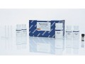 Набор Blood & Cell Culture DNA Maxi Kit для выделения высокомолекулярной ДНК из крови и клеточных культур (25 реакций)